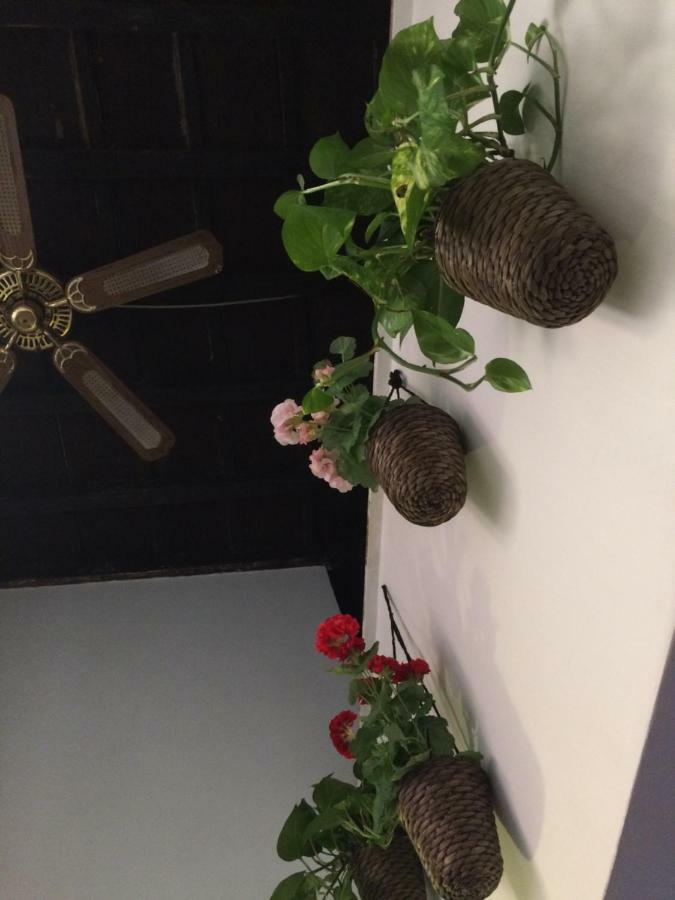 Moroni Trastevere Cozy Apartment Ρώμη Εξωτερικό φωτογραφία